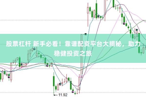 股票杠杆 新手必看！靠谱配资平台大揭秘，助力稳健投资之旅