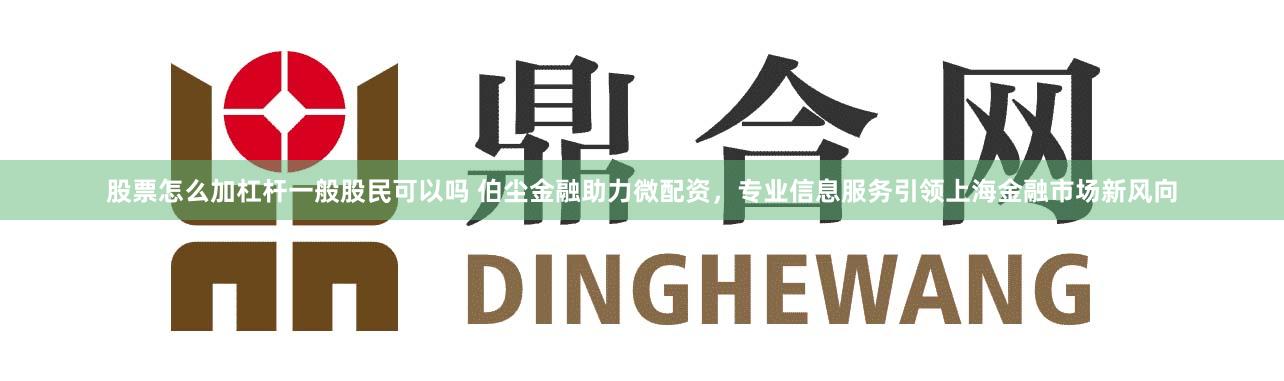 股票怎么加杠杆一般股民可以吗 伯尘金融助力微配资，专业信息服务引领上海金融市场新风向