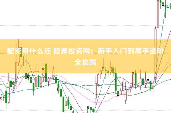 配资用什么还 股票投资网：新手入门到高手进阶全攻略