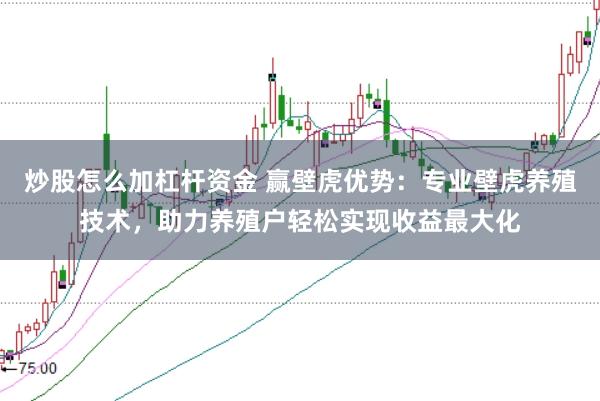 炒股怎么加杠杆资金 赢壁虎优势：专业壁虎养殖技术，助力养殖户轻松实现收益最大化