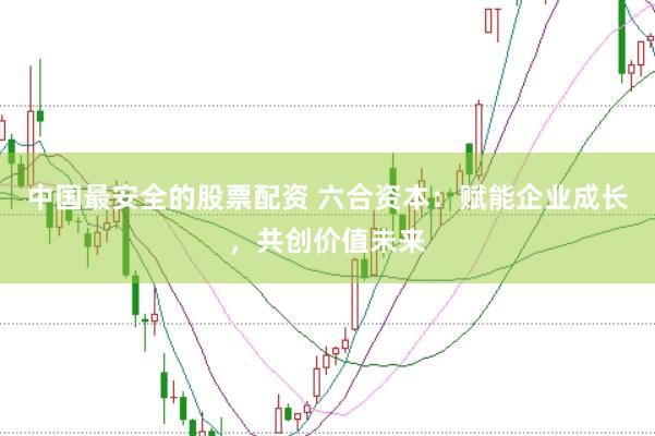 中国最安全的股票配资 六合资本：赋能企业成长，共创价值未来