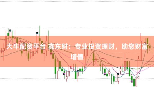 大牛配资平台 鑫东财：专业投资理财，助您财富增值